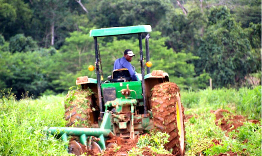 Burkina Faso : Création du conseil burkinabè des filières agropastorales et halieutiques, une révolution pour le secteur agropastoral.