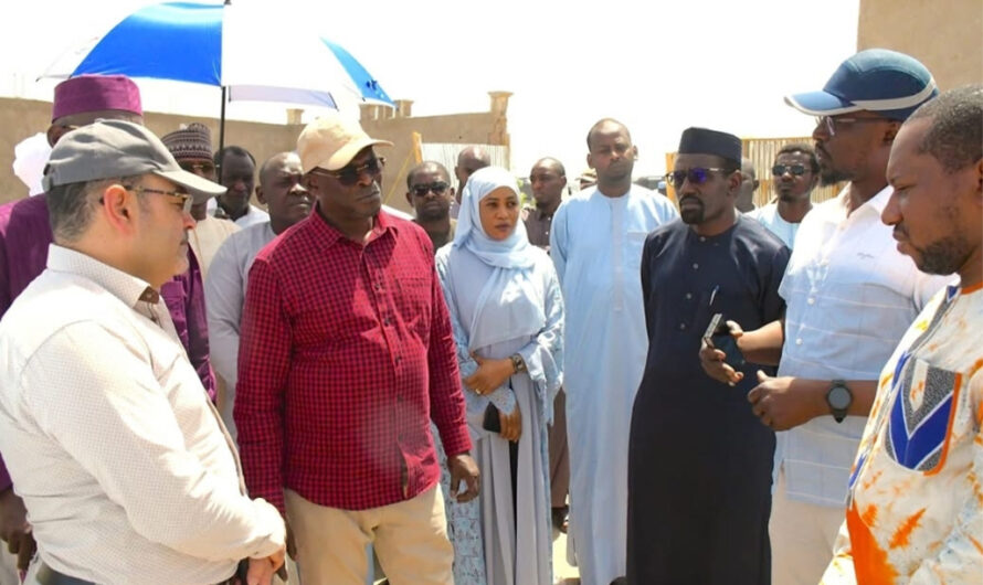 Tchad : Appel à accélérer les travaux de la Dorsale transsaharienne à fibre optique.